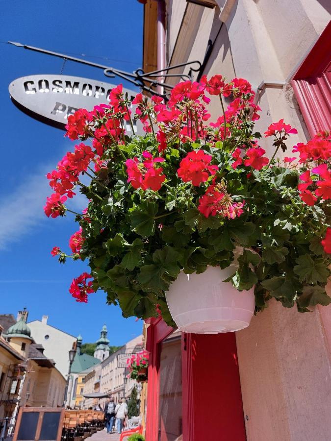 Penzion Cosmopolitan Ii. Banska Stiavnica Exterior photo